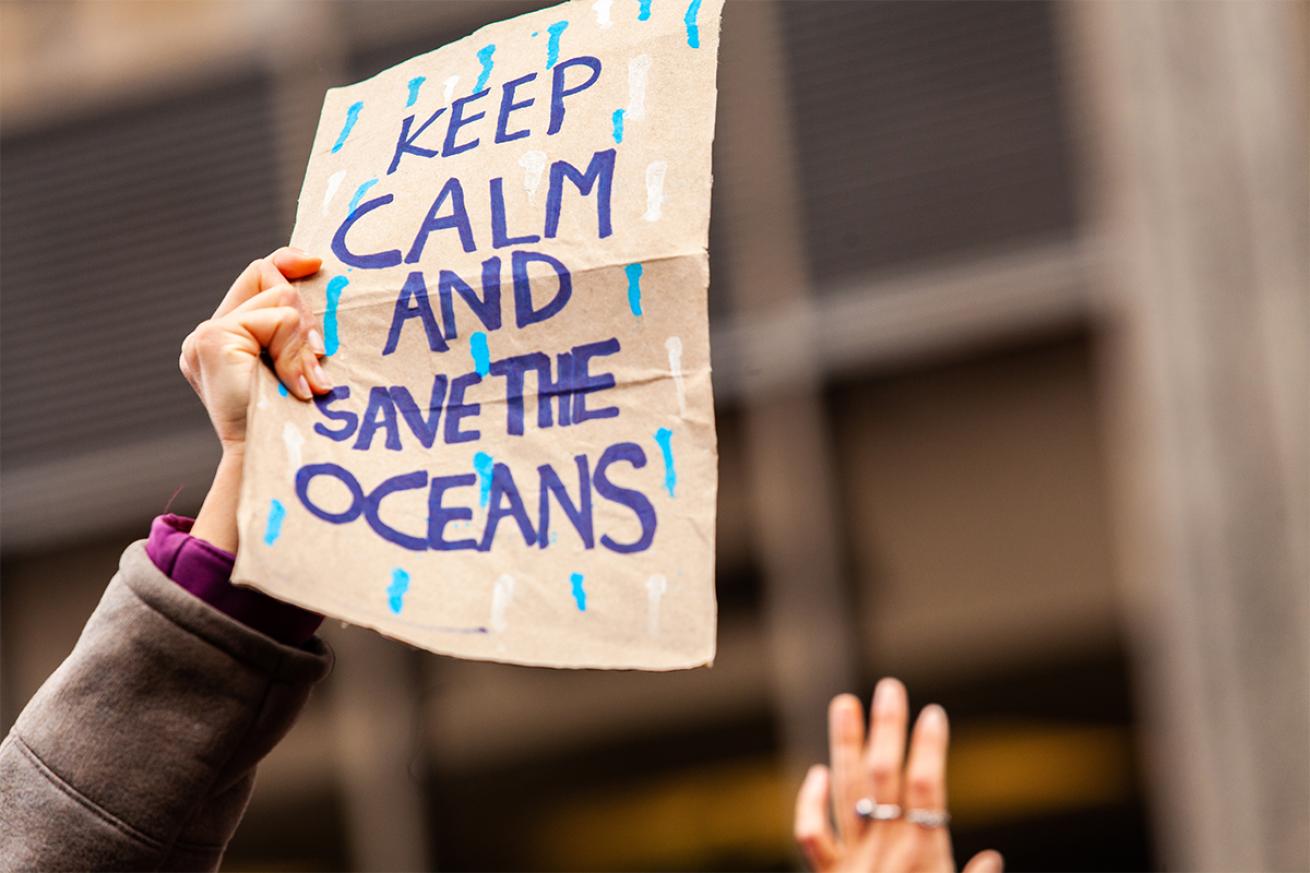Register for Youth Advocacy Training! - The Ocean Project