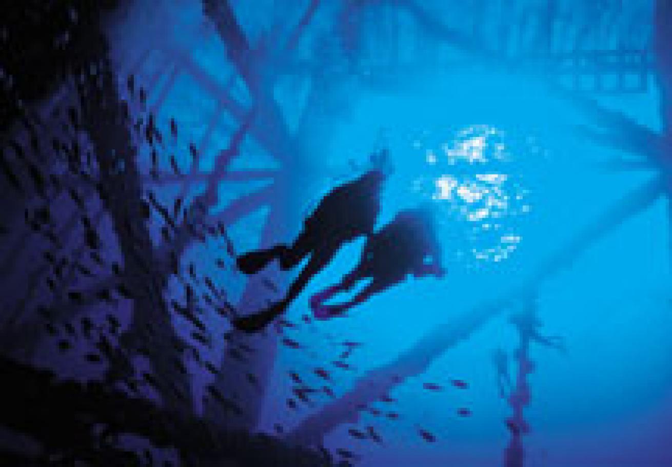 Scuba Choice Scuba Diving Multi Purpose Dive Reel, 150', Green