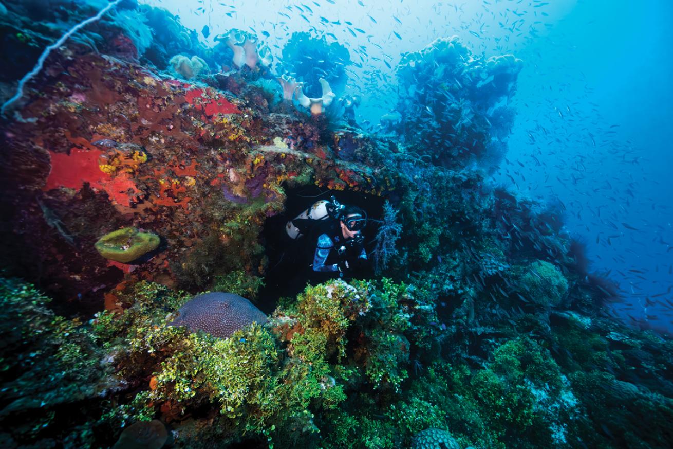 A scuba diver swims amongst beautiful reefs in Micronesia dive site Fujikawa Maru