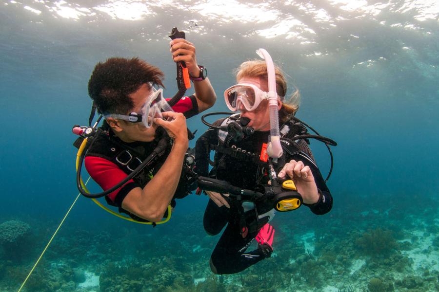 Scuba Diving Tips: How To Equalize Every Time 