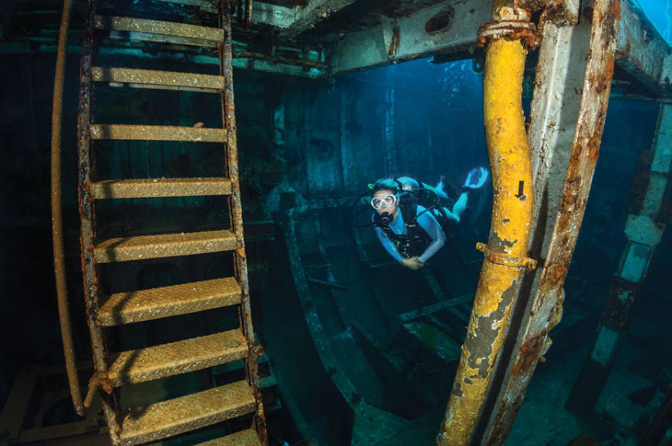 Diving the Kittiwake