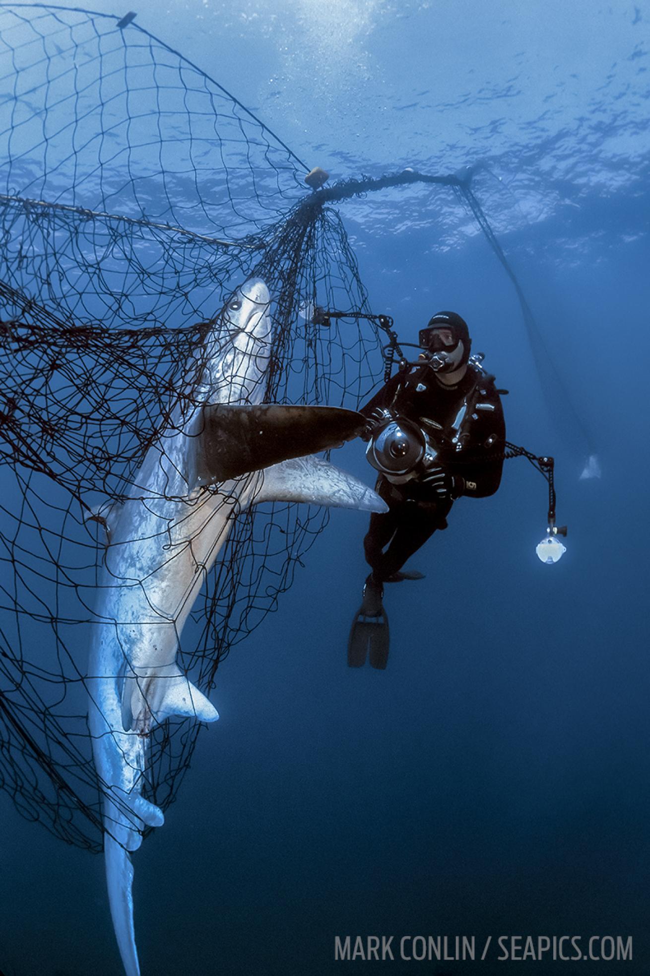 Recycled fishing net store swimwear