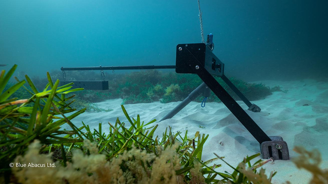 UK To Launch History’s Largest Underwater Monitoring System | Scuba Diving