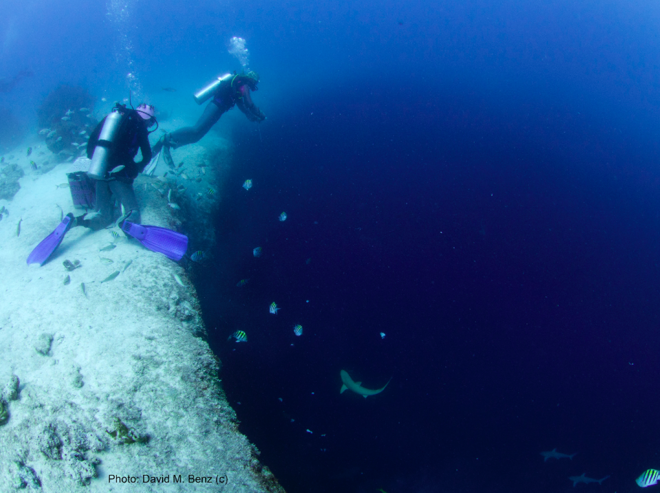 Five Awesome Blue Hole Dive Sites Scuba Diving