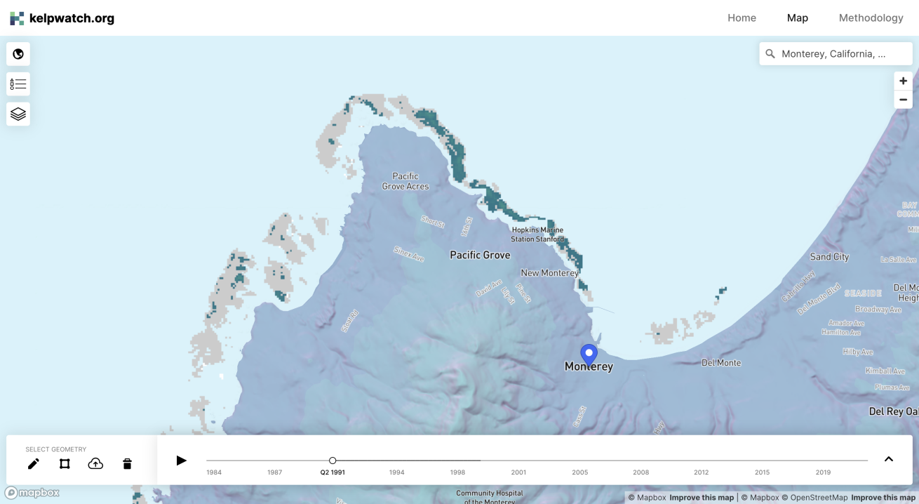 Say Hello to the Arctic Kelp Rush | Sierra Club