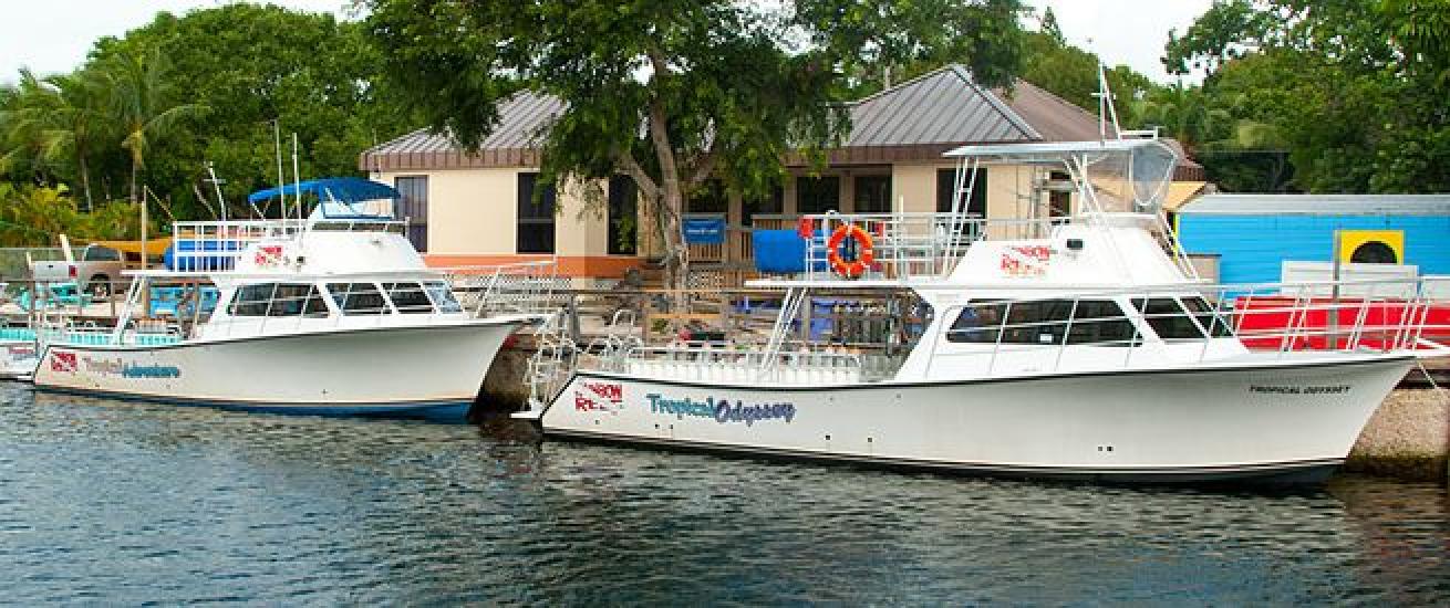 Rainbow reef deals dive center