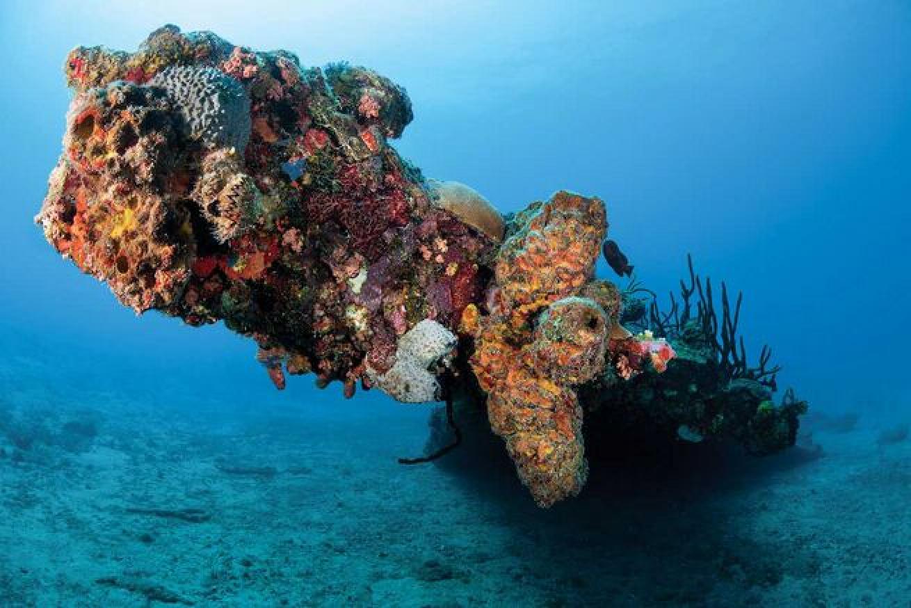 The RMS Rhone is the BVI's signature wreck.