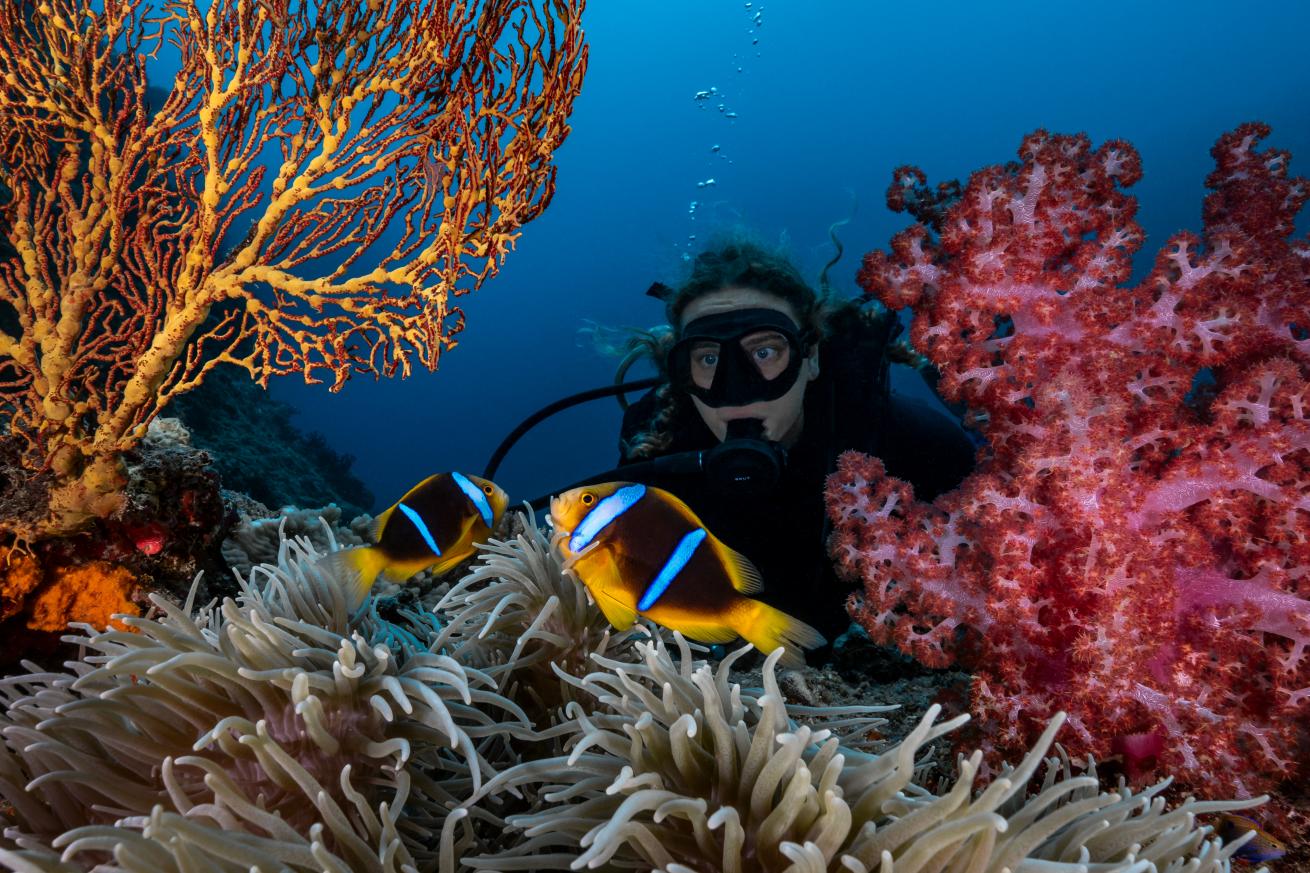 Scuba Diver swimming with fish and coral in Fiji.