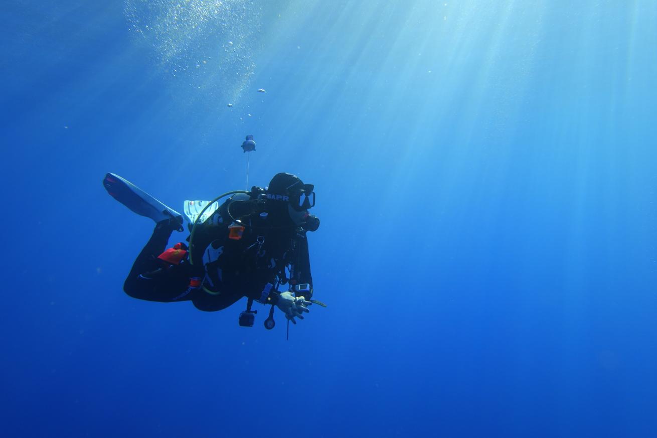 Utilizing her background in engineering, Knapps joined Scubapro to help develop dive computers.