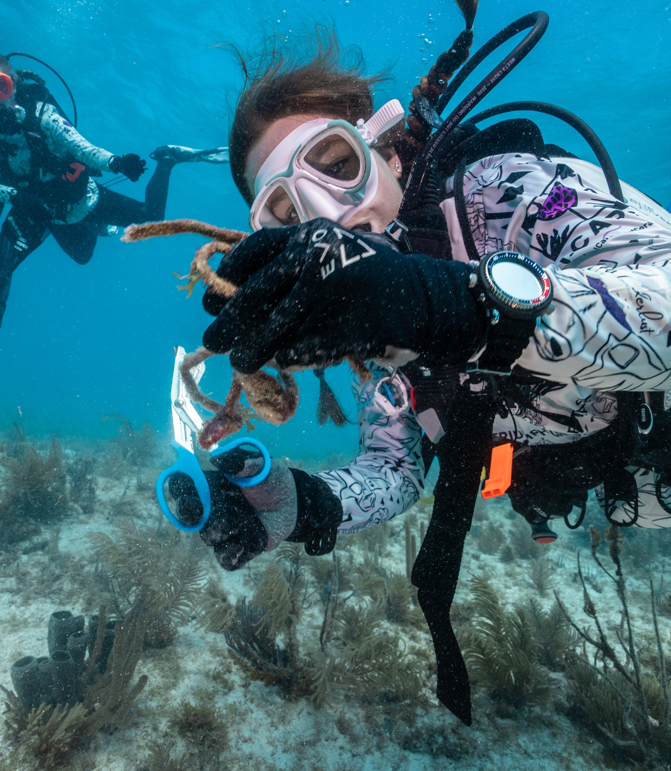 Diver with trash