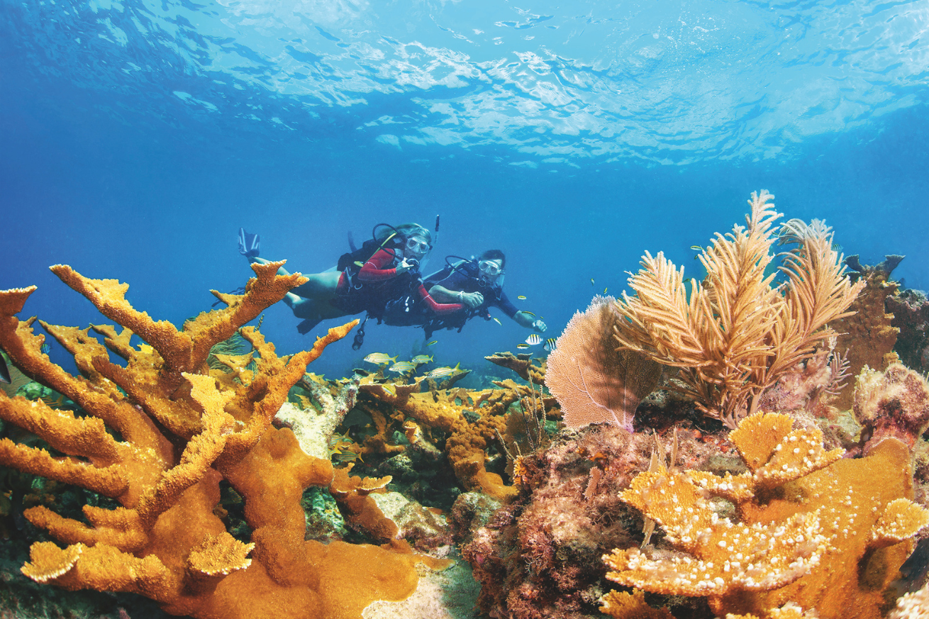 A couple of people scuba diving under water