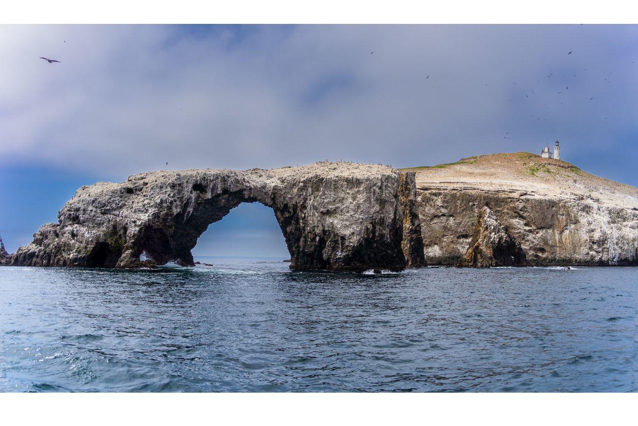 channelislandsnationalpark_ Alexandra Bilham_shutterstock_2293673111