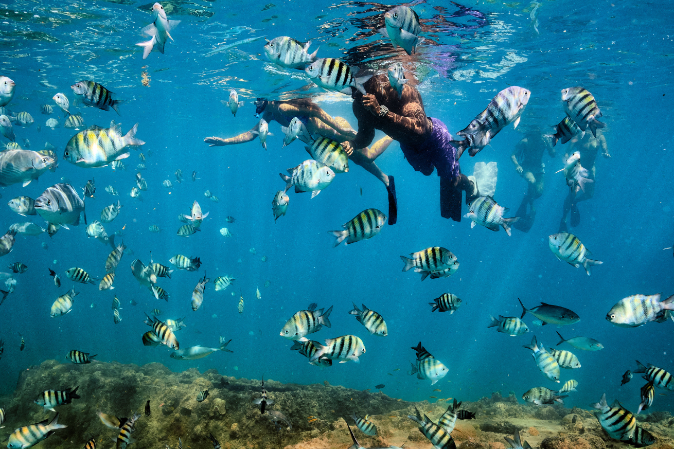 A person and person swimming with fish