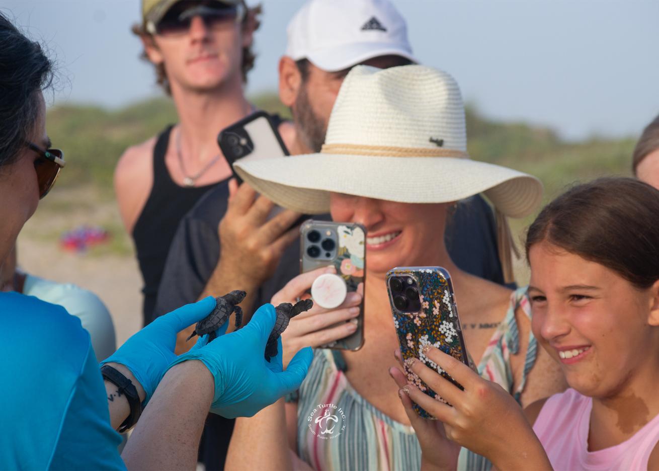 Protecting Texas' Barrier Island Sea Turtles