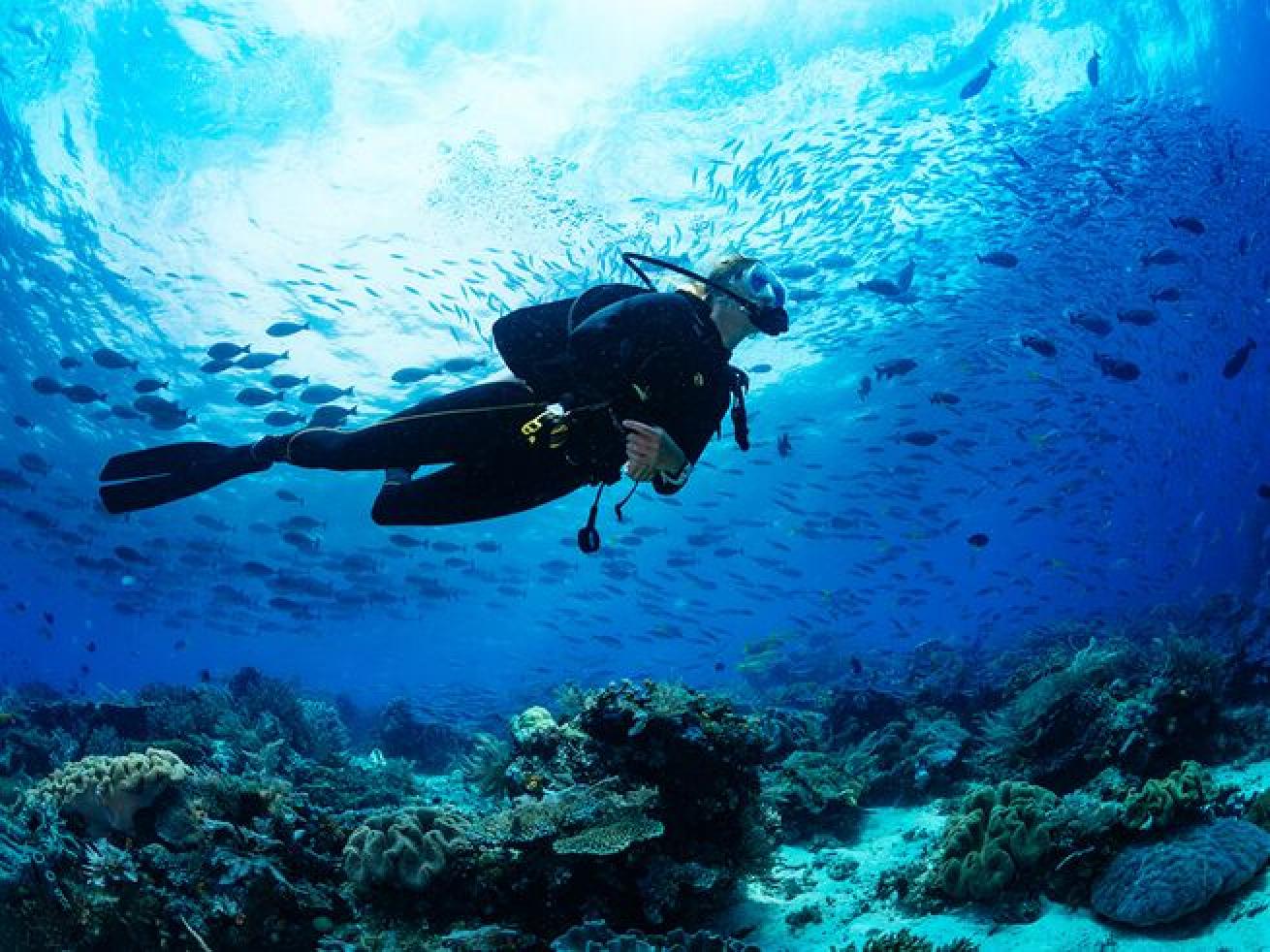 Scuba diving is a fun-filled adventure, but unless you’re a model diver, you could be harming the marine environment.