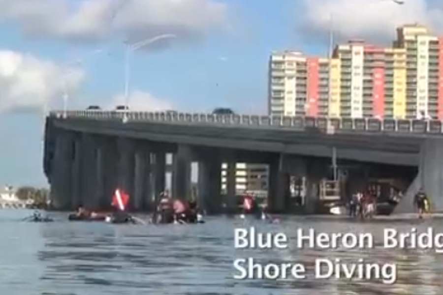 Video: Blue Heron Bridge | Scuba Diving