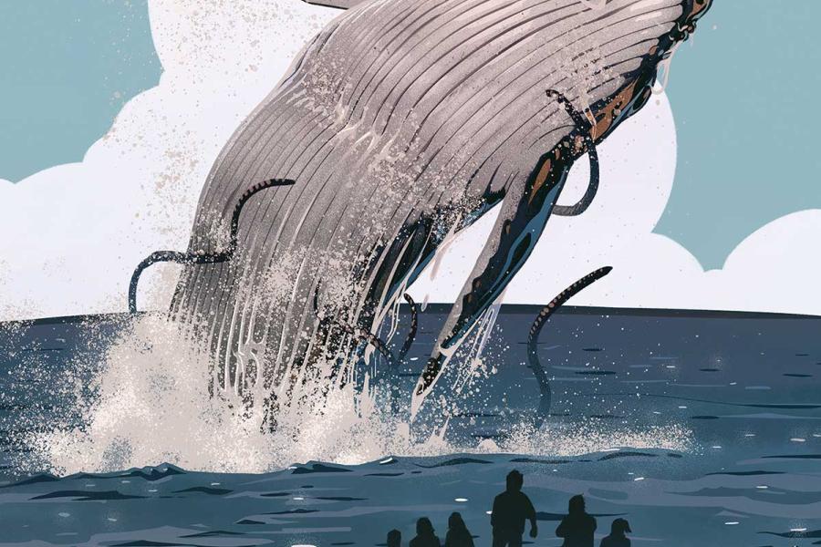 What It's Like To Free Entangled Humpbacks 