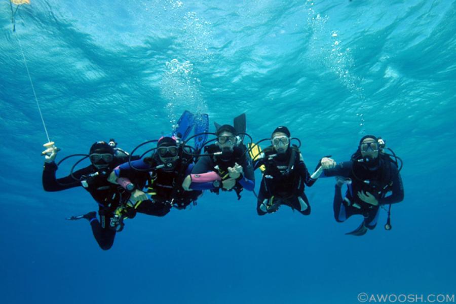 Diving With the Kids | Scuba Diving