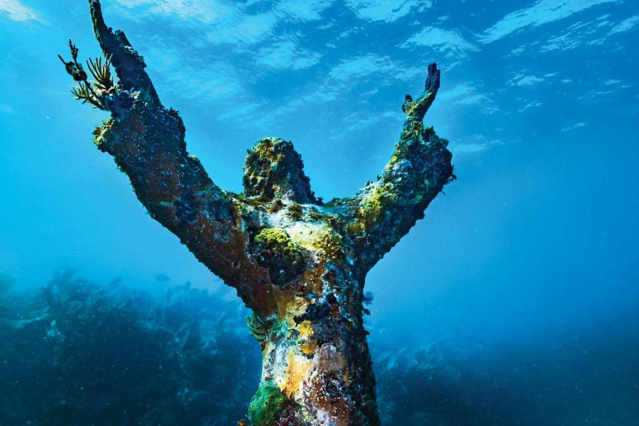 Where To Go Scuba Diving in Key Largo | Scuba Diving