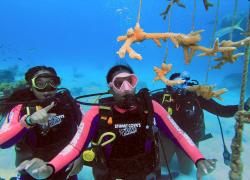 Destinations  Scuba Diving